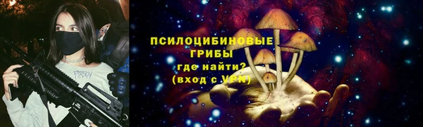 apvp Бронницы